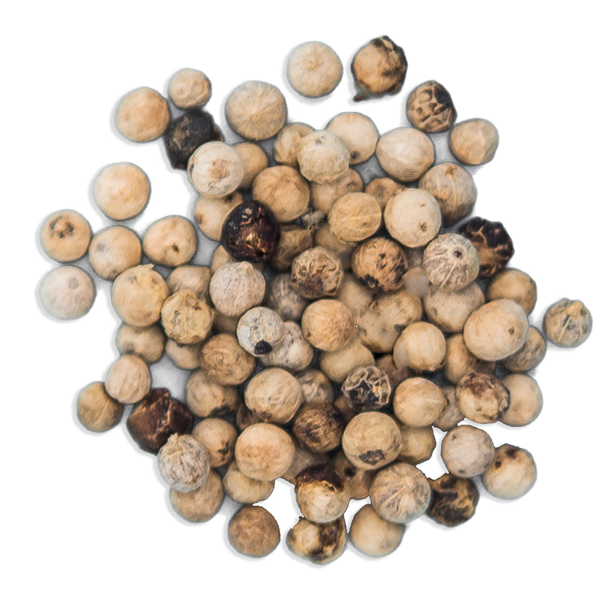 White Peppercorns