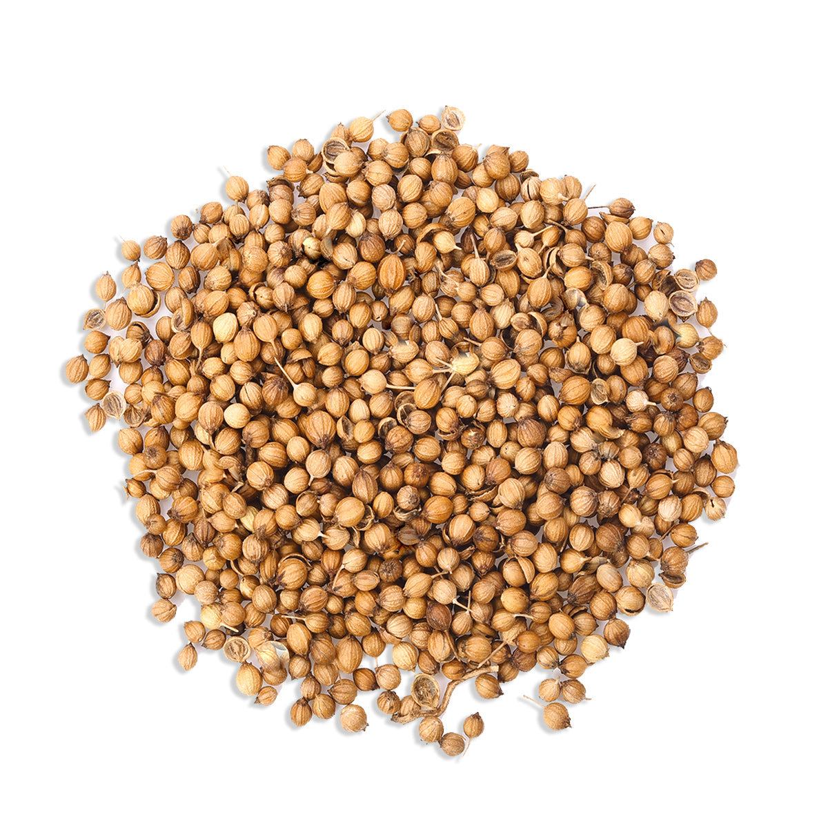 Coriander Seeds