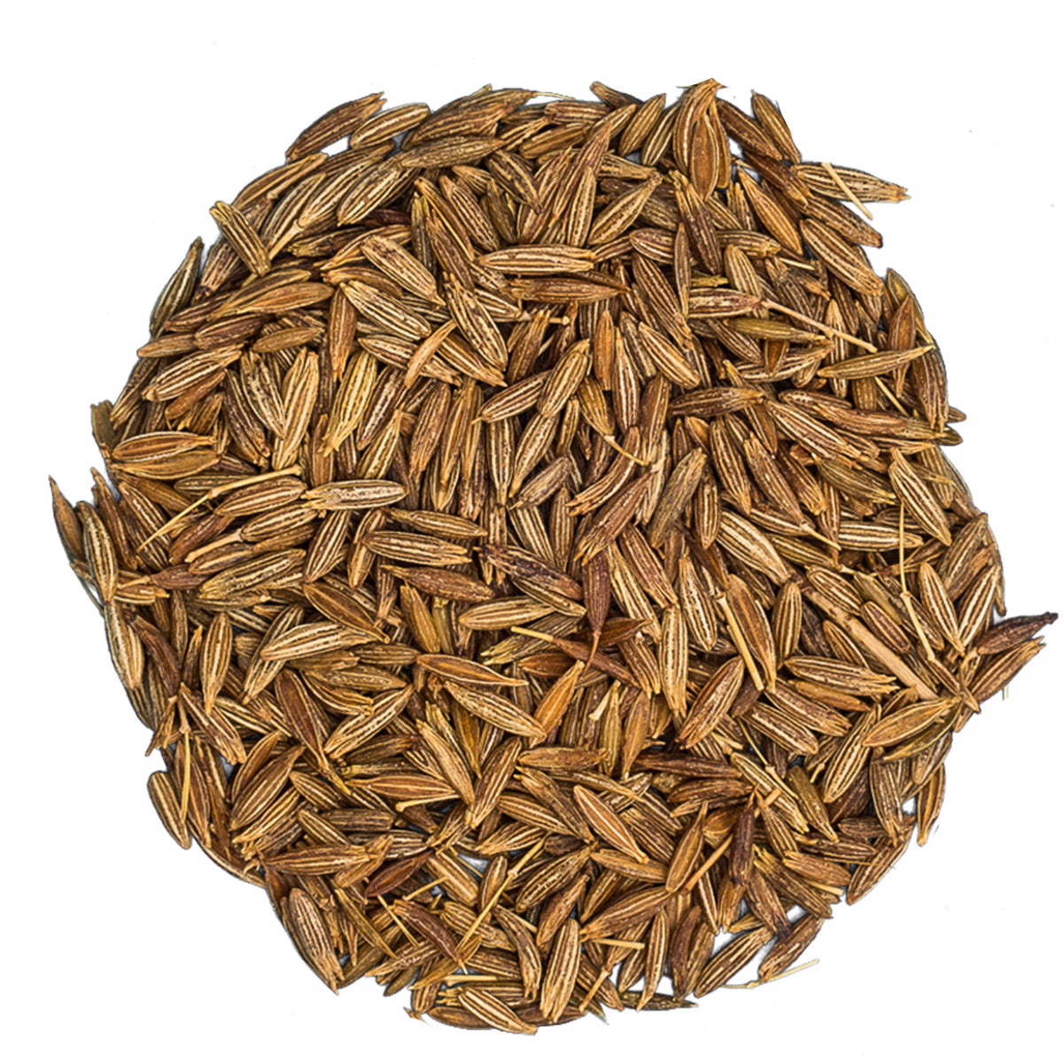 Cumin Seeds