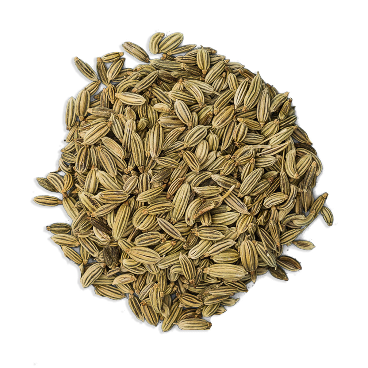 Fennel Seeds