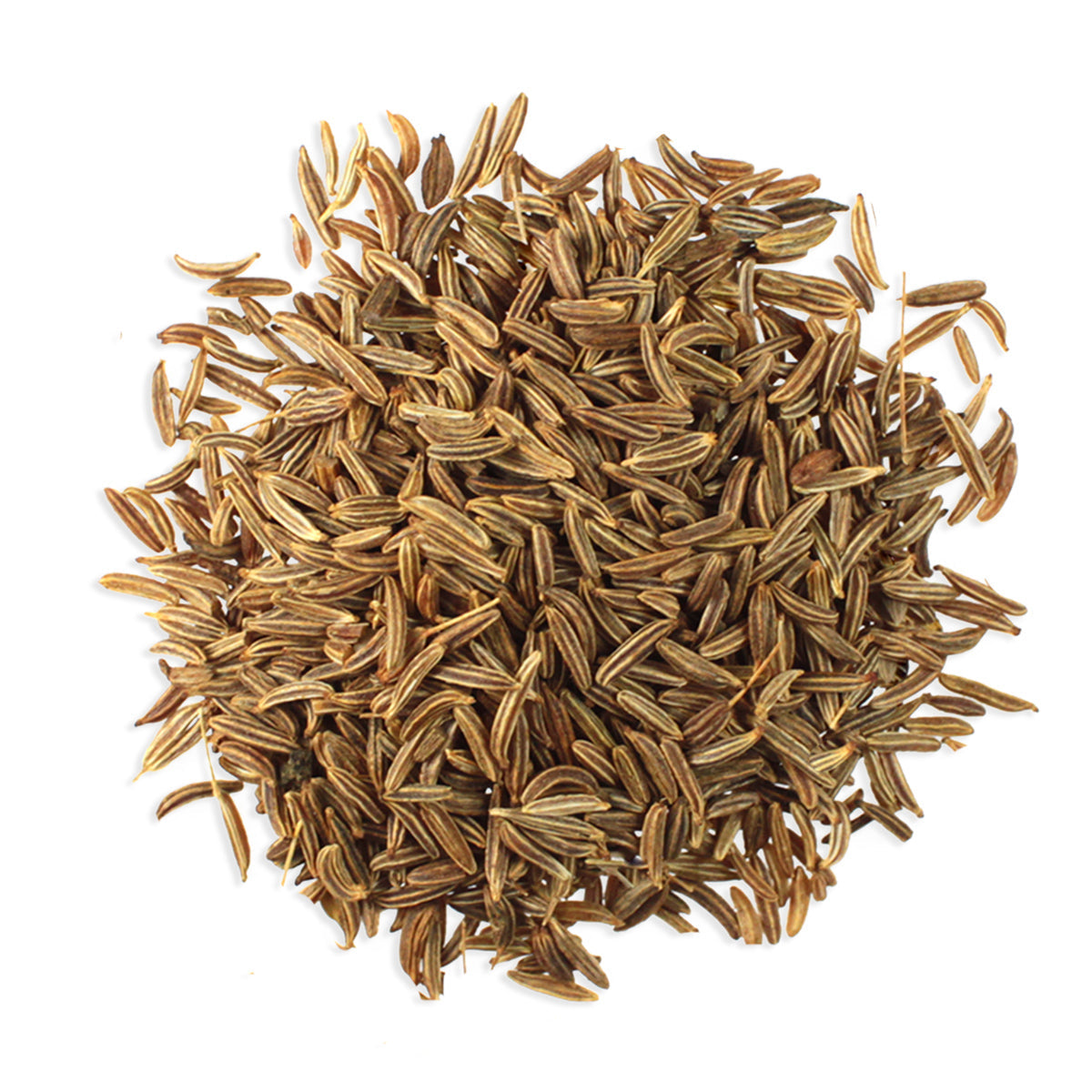Organic Caraway Seeds