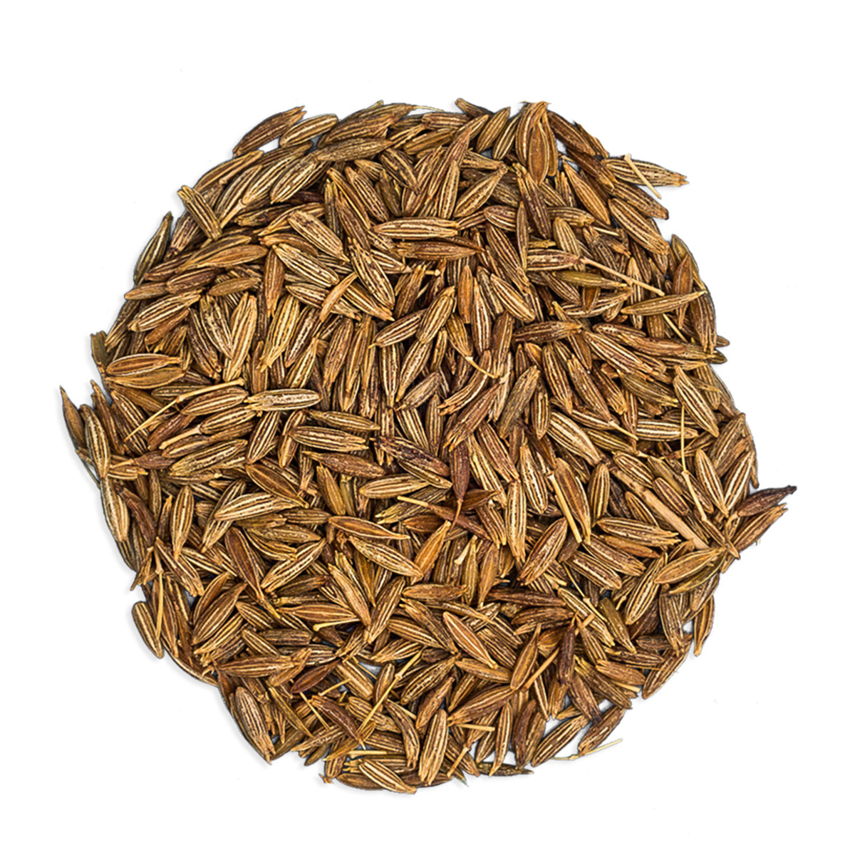 Organic Cumin Seeds