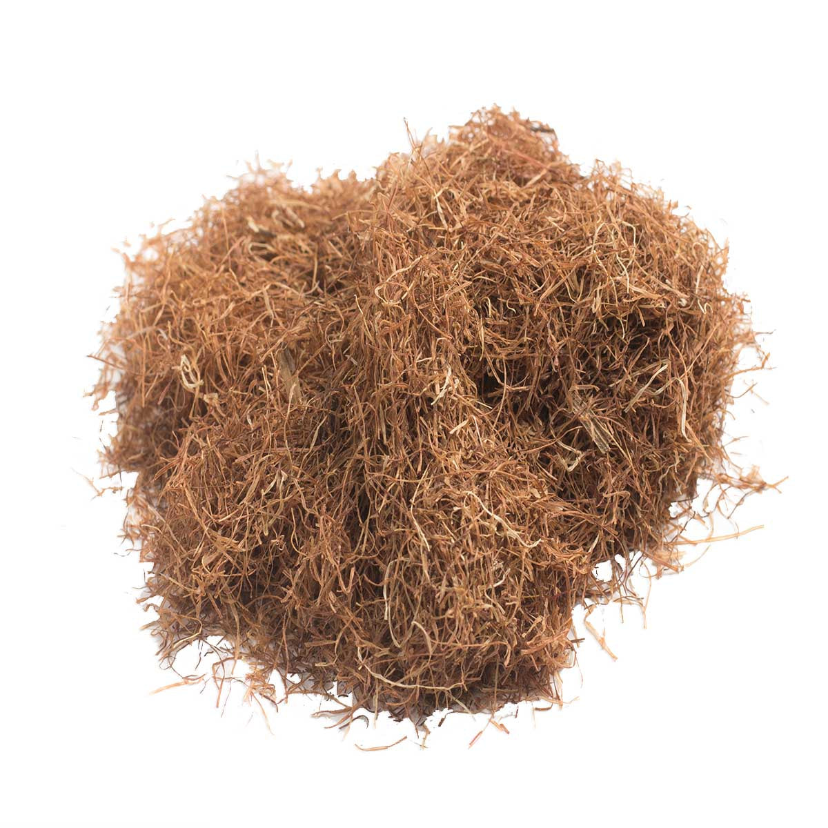 Cornsilk