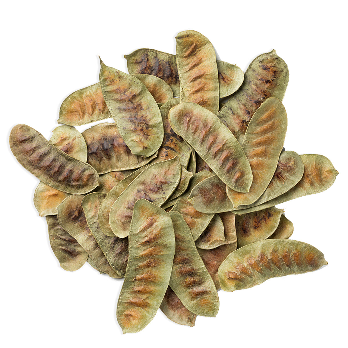 Cotswold Ingredients Senna Pods