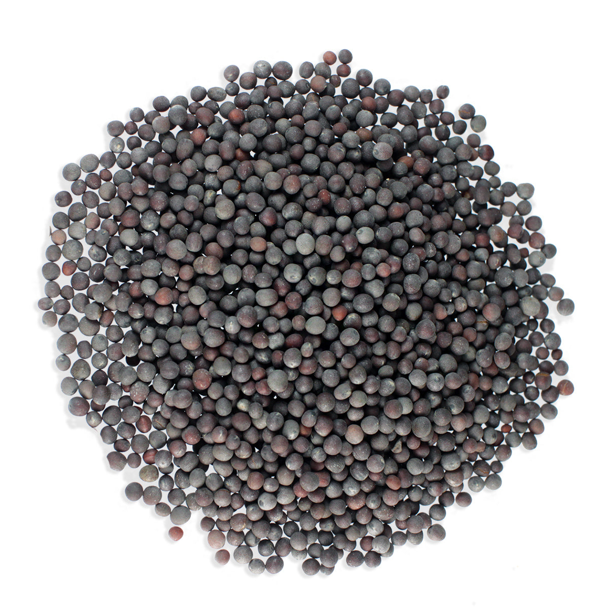 Cotswold Ingredients Black/Brown Mustard Seeds