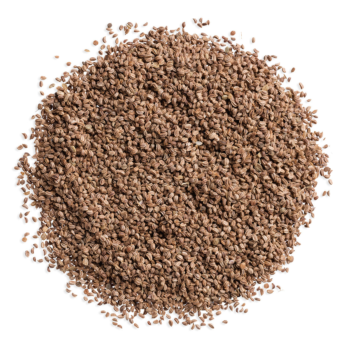 Cotswold Ingredients Celery Seeds
