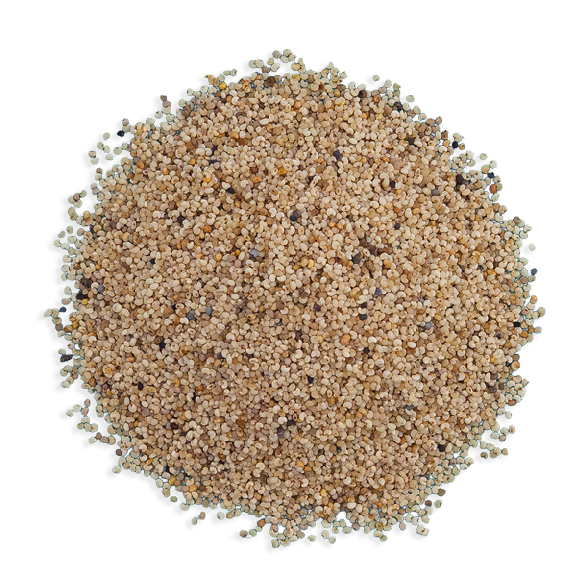 Cotswold Ingredients White Poppy Seeds