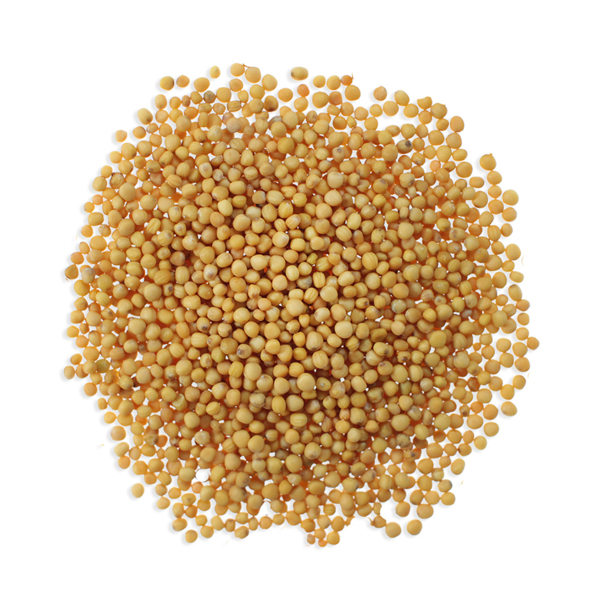Cotswold Ingredients Yellow Mustard Seeds