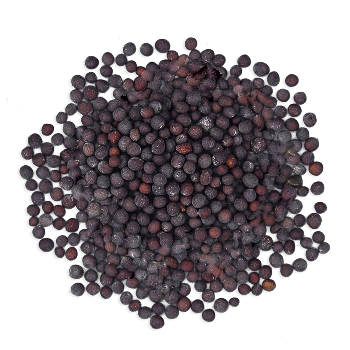 Cotswold Ingredients Organic Black/Brown Mustard Seeds