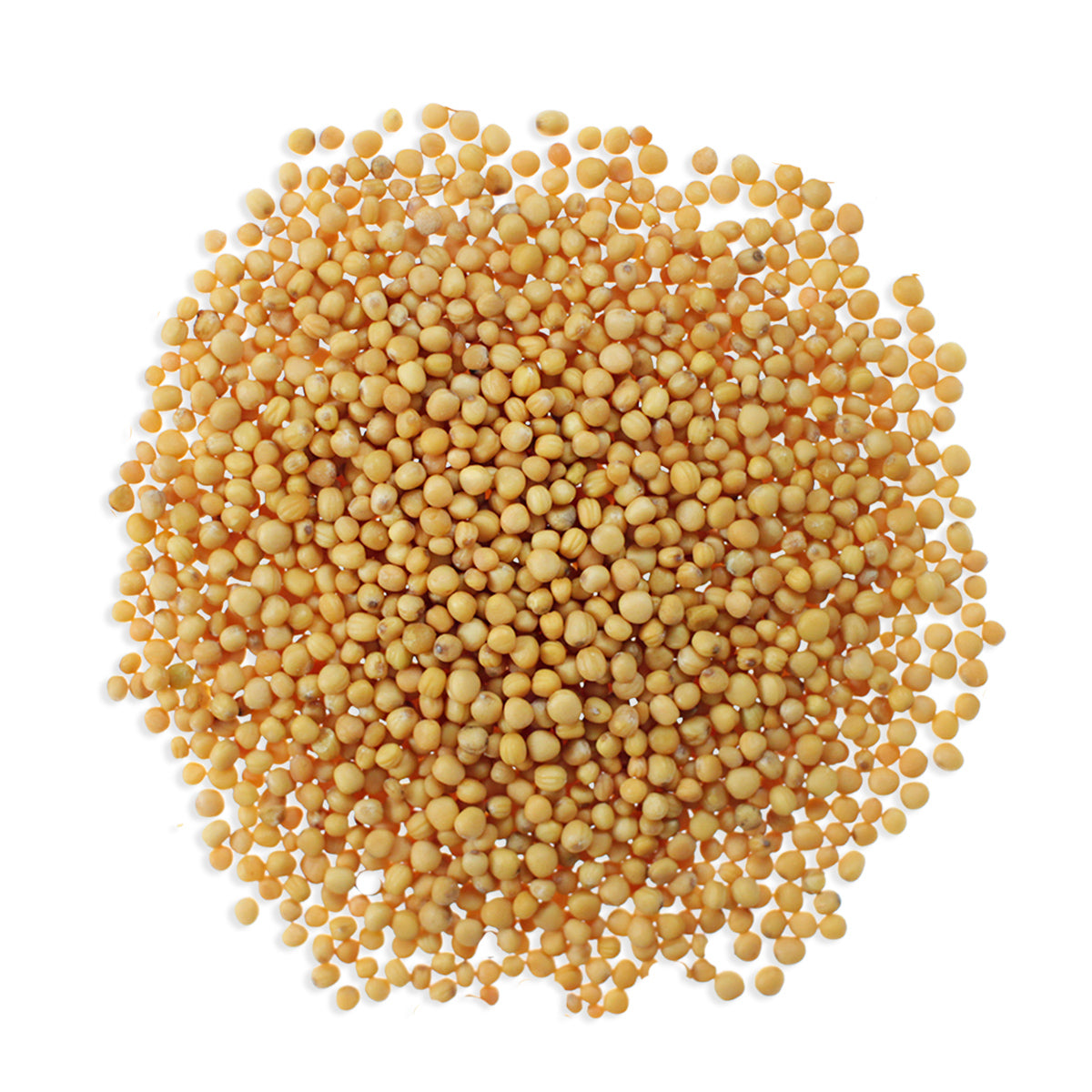 Cotswold Ingredients Organic Yellow Mustard Seeds